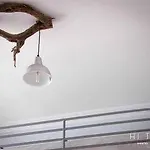 Hitide House Vandrerhjem *