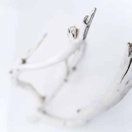 Vandrerhjem Hitide House *