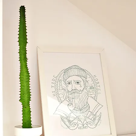 호스텔 Hitide House GRAN CANARIA
