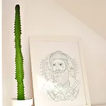 Hostel Hitide House GRAN CANARIA