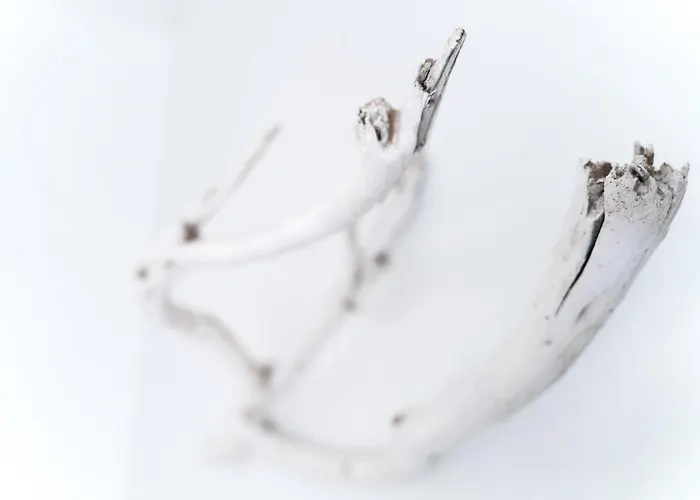 Vandrarhem Hitide House *